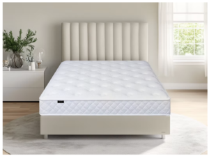 Excellence 1000 Mattress